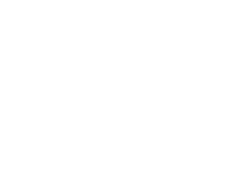 company_or_organization_structure